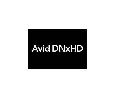 Avid DNxHD : premier codec compatible avec la norme VC-3