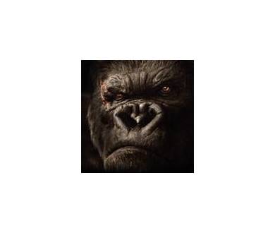 King Kong en Blu-Ray le 20 janvier aux USA