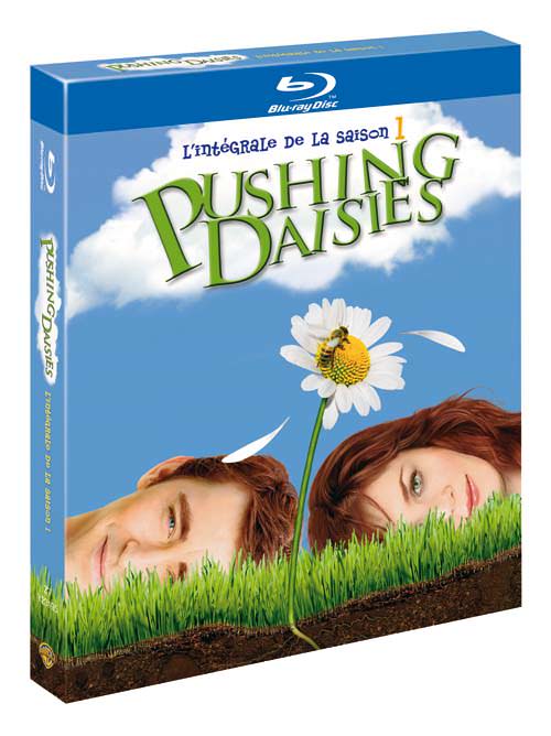 Pushing Daisies en Blu-Ray dès le 11 février